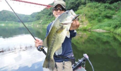 Fish Arrow Free Rig Sinker Tungsten 12 Fish Arrow Free Rig Sinker Tungsten -Angelgeschäft FA 4573251342053r 5