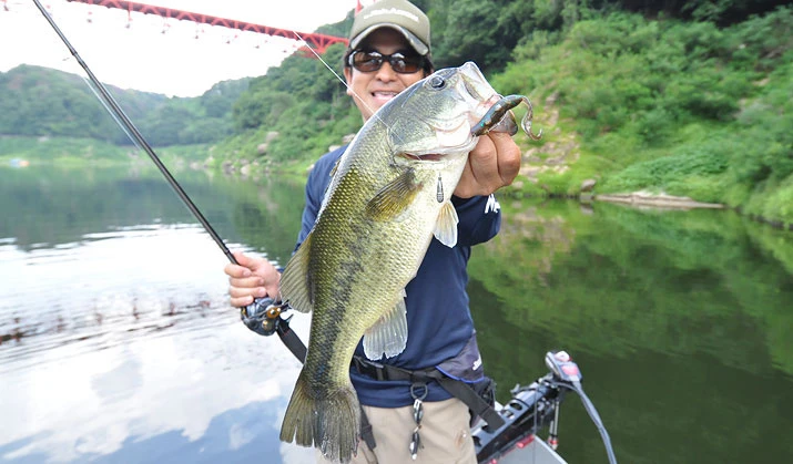 Fish Arrow Free Rig Sinker Tungsten 7 Fish Arrow Free Rig Sinker Tungsten – Bild 5