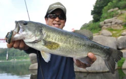 Fish Arrow Free Rig Sinker Tungsten 13 Fish Arrow Free Rig Sinker Tungsten -Angelgeschäft FA 4573251342053r 6