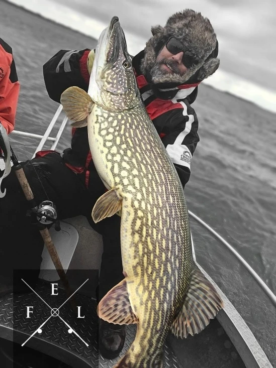 Eastfield Wingman Curly 23cm, 77g 5 Eastfield Wingman Curly 23cm, 77g – Bild 3