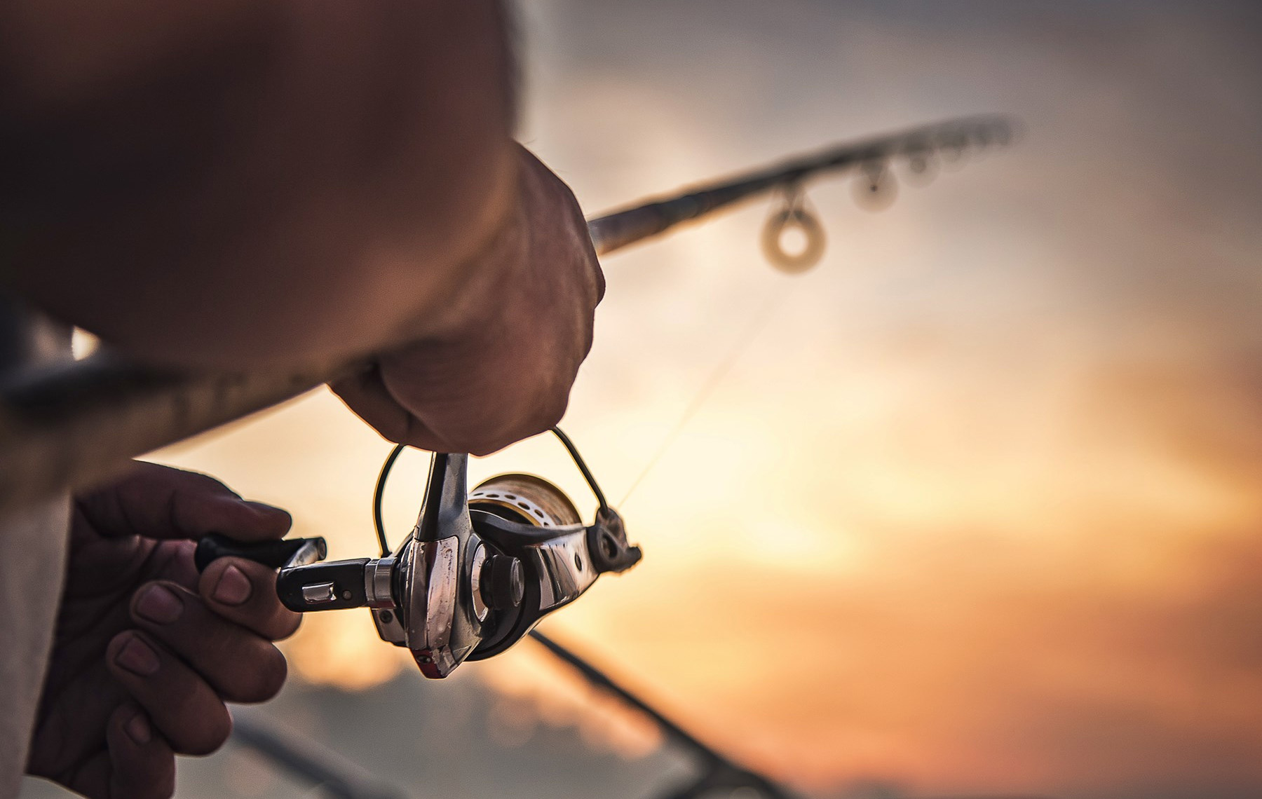 Angelgeschäft -Angelgeschäft 4